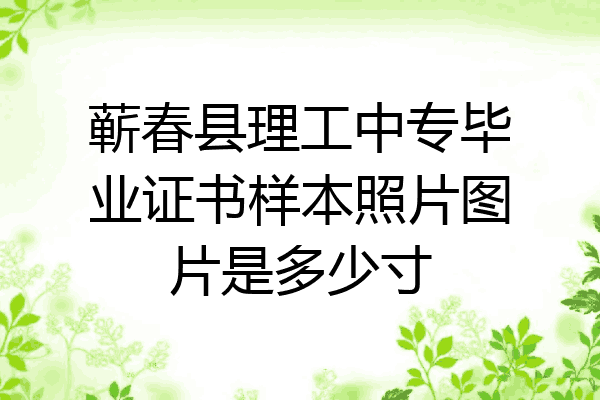 蕲春县理工中专毕业证书样本照片图片是多少寸