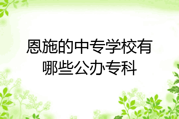 恩施的中专学校有哪些公办专科