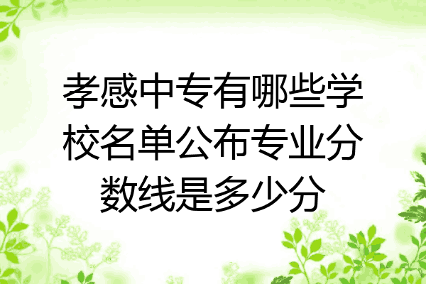 孝感中专有哪些学校名单公布专业分数线是多少分