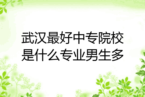 武汉最好中专院校是什么专业男生多