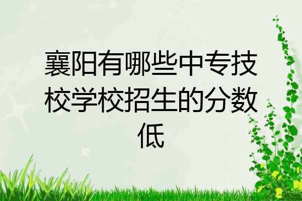 襄阳有哪些中专技校学校招生的分数低