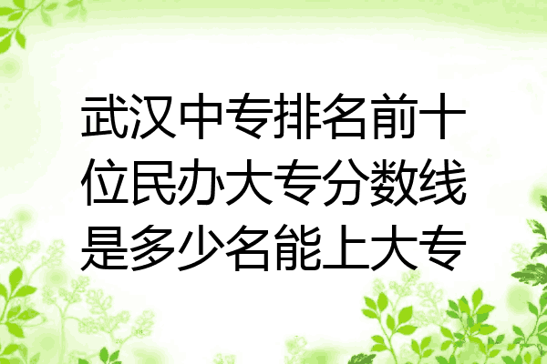 武汉中专排名前十位民办大专分数线是多少名能上大专