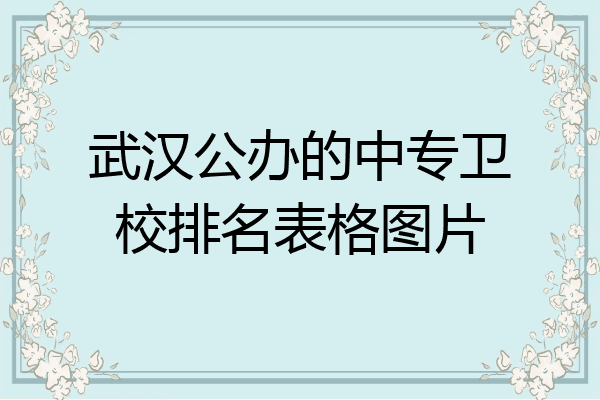 武汉公办的中专卫校排名表格图片
