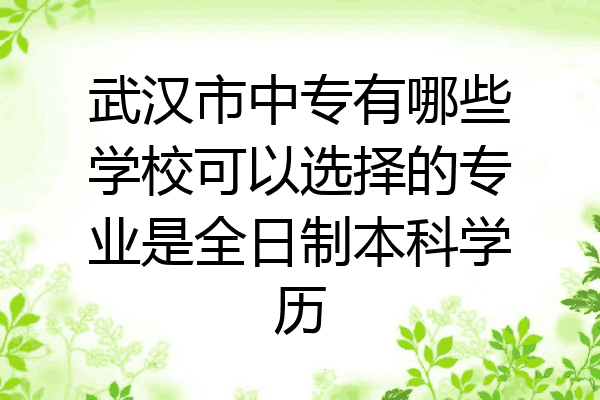 武汉市中专有哪些学校可以选择的专业是全日制本科学历