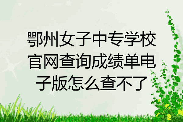 鄂州女子中专学校官网查询成绩单电子版怎么查不了
