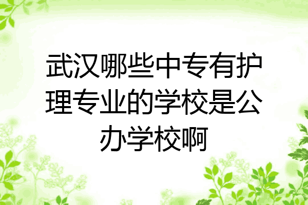 武汉哪些中专有护理专业的学校是公办学校啊