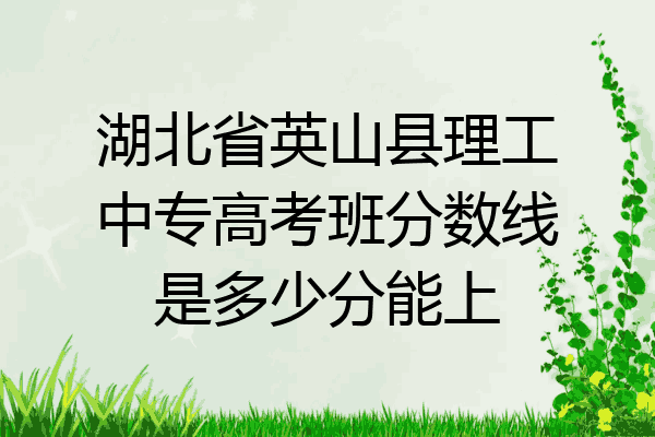 湖北省英山县理工中专高考班分数线是多少分能上
