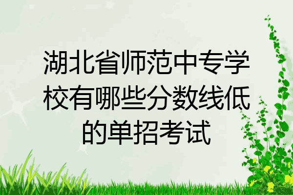 湖北省师范中专学校有哪些分数线低的单招考试