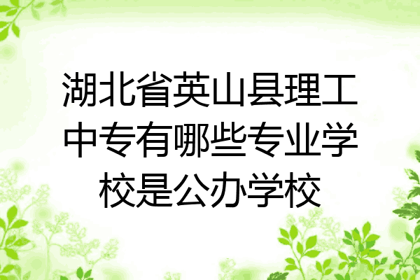 湖北省英山县理工中专有哪些专业学校是公办学校