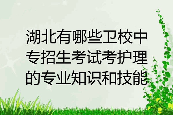 湖北有哪些卫校中专招生考试考护理的专业知识和技能