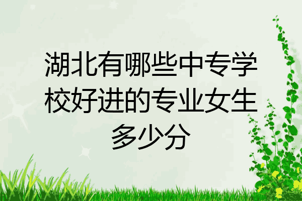 湖北有哪些中专学校好进的专业女生多少分