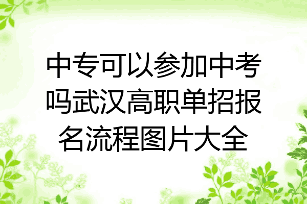 中专可以参加中考吗武汉高职单招报名流程图片大全
