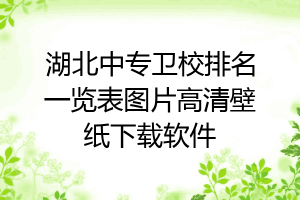 湖北中专卫校排名一览表图片高清壁纸下载软件