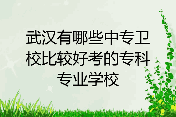 武汉有哪些中专卫校比较好考的专科专业学校