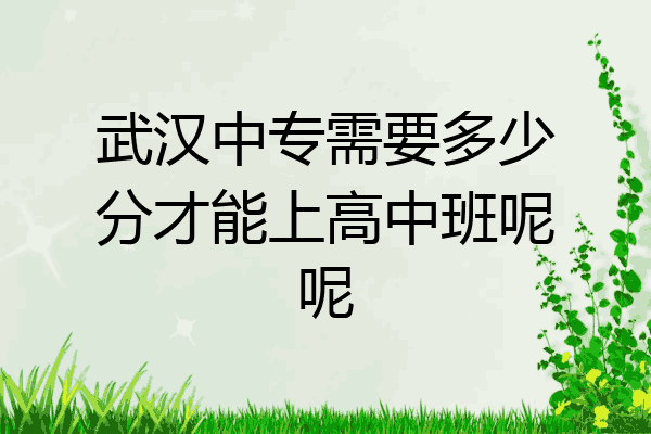 武汉中专需要多少分才能上高中班呢呢