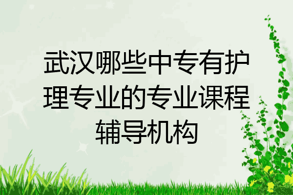 武汉哪些中专有护理专业的专业课程辅导机构