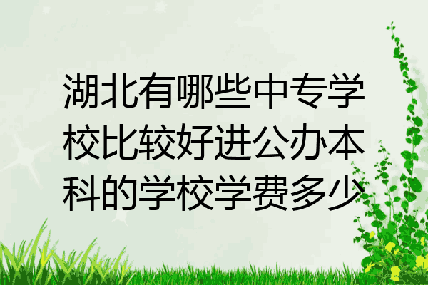 湖北有哪些中专学校比较好进公办本科的学校学费多少
