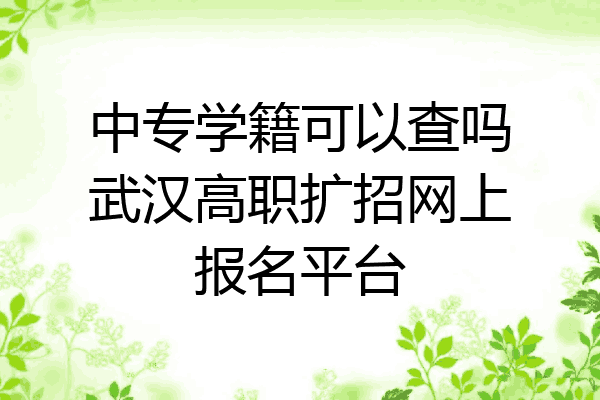 中专学籍可以查吗武汉高职扩招网上报名平台