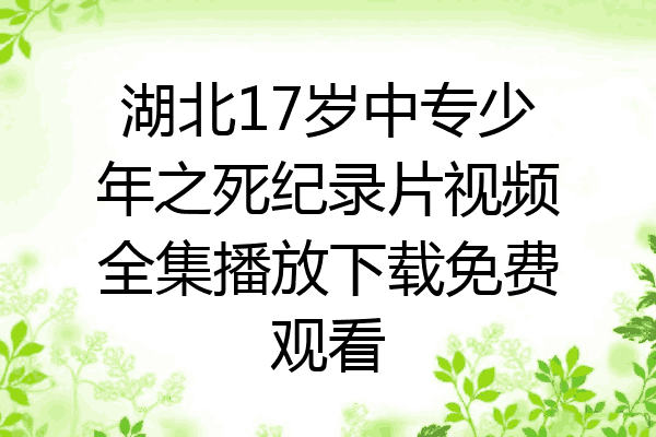 湖北17岁中专少年之死纪录片视频全集播放下载免费观看