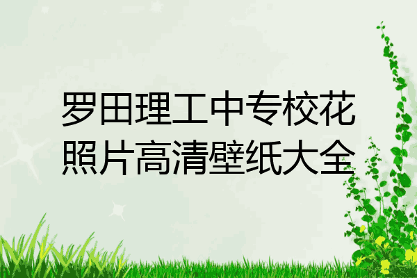 罗田理工中专校花照片高清壁纸大全