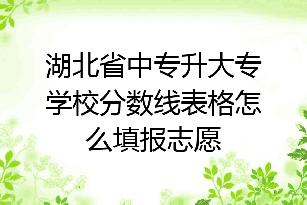 湖北省中专升大专学校分数线表格怎么填报志愿