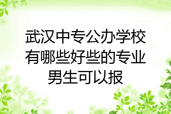 武汉中专公办学校有哪些好些的专业男生可以报