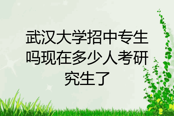 武汉大学招中专生吗现在多少人考研究生了