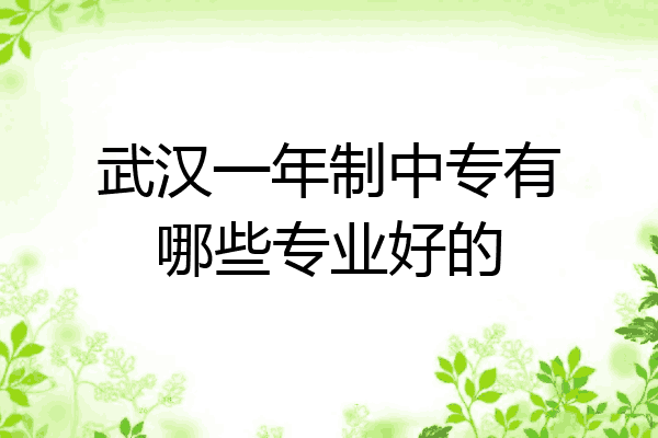 武汉一年制中专有哪些专业好的