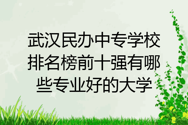 武汉民办中专学校排名榜前十强有哪些专业好的大学