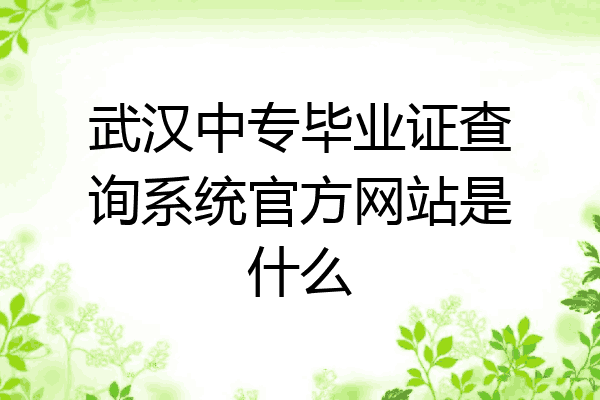 武汉中专毕业证查询系统官方网站是什么