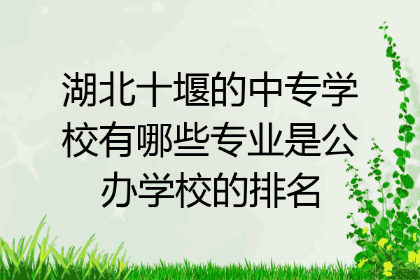 湖北十堰的中专学校有哪些专业是公办学校的排名