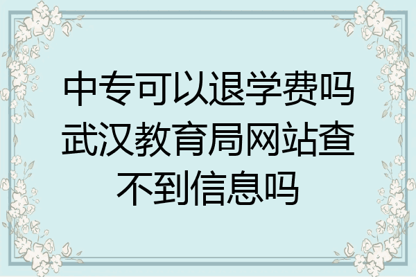 中专可以退学费吗武汉教育局网站查不到信息吗