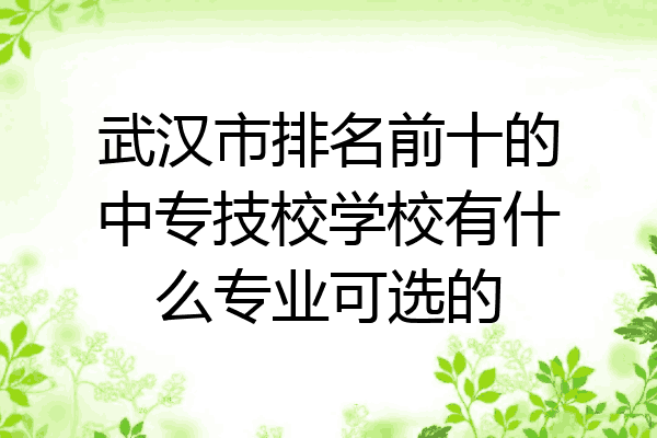 武汉市排名前十的中专技校学校有什么专业可选的