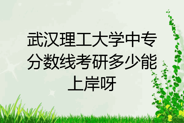 武汉理工大学中专分数线考研多少能上岸呀