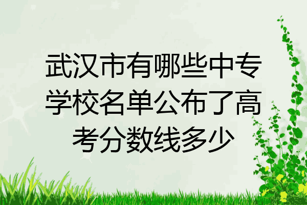 武汉市有哪些中专学校名单公布了高考分数线多少