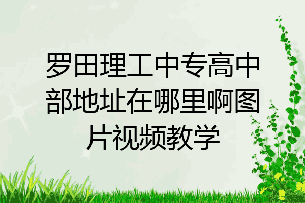 罗田理工中专高中部地址在哪里啊图片视频教学