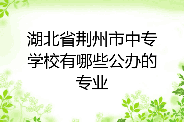 湖北省荆州市中专学校有哪些公办的专业