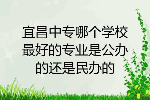 宜昌中专哪个学校最好的专业是公办的还是民办的