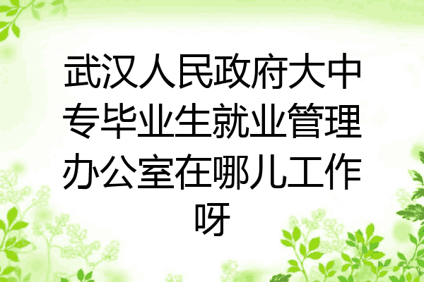 武汉人民政府大中专毕业生就业管理办公室在哪儿工作呀