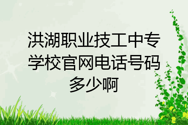 洪湖职业技工中专学校官网电话号码多少啊