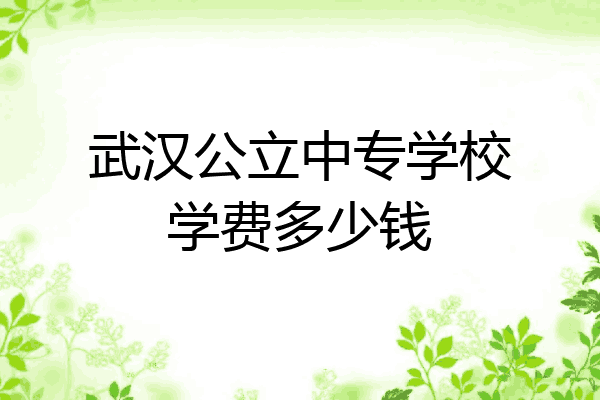 武汉公立中专学校学费多少钱
