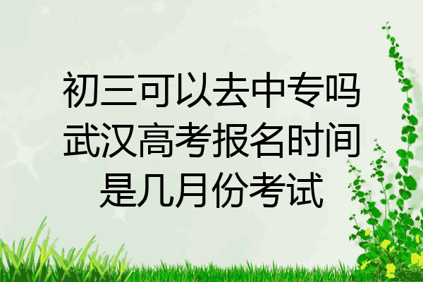 初三可以去中专吗武汉高考报名时间是几月份考试