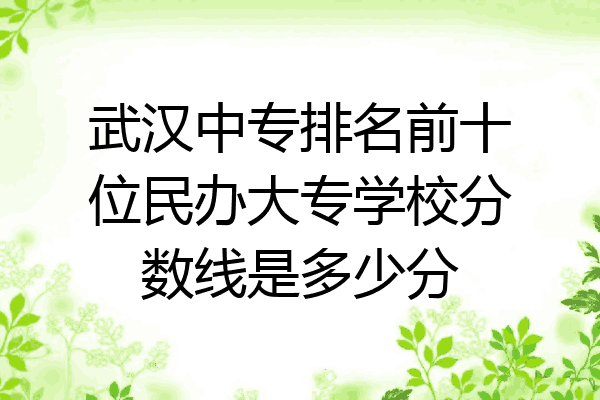 武汉中专排名前十位民办大专学校分数线是多少分