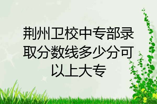 荆州卫校中专部录取分数线多少分可以上大专