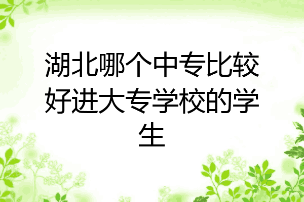 湖北哪个中专比较好进大专学校的学生