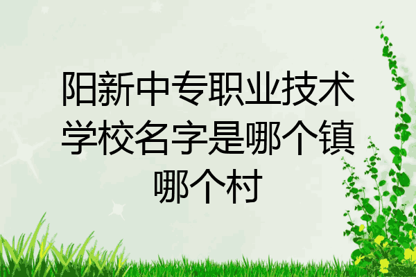 阳新中专职业技术学校名字是哪个镇哪个村