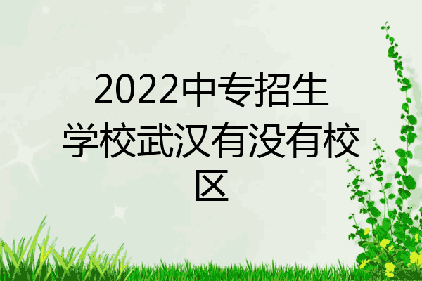 2022中专招生学校武汉有没有校区