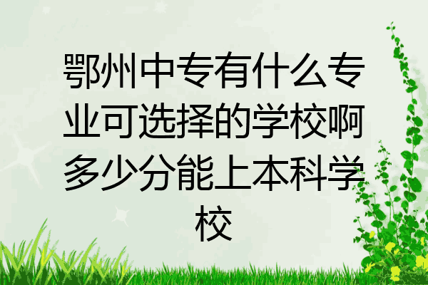 鄂州中专有什么专业可选择的学校啊多少分能上本科学校
