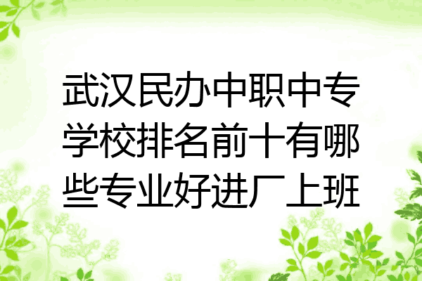 武汉民办中职中专学校排名前十有哪些专业好进厂上班