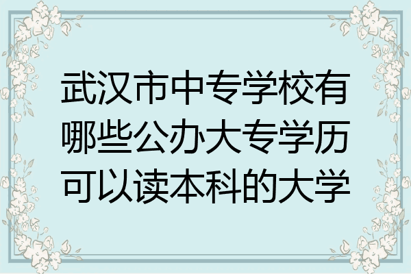 武汉市中专学校有哪些公办大专学历可以读本科的大学